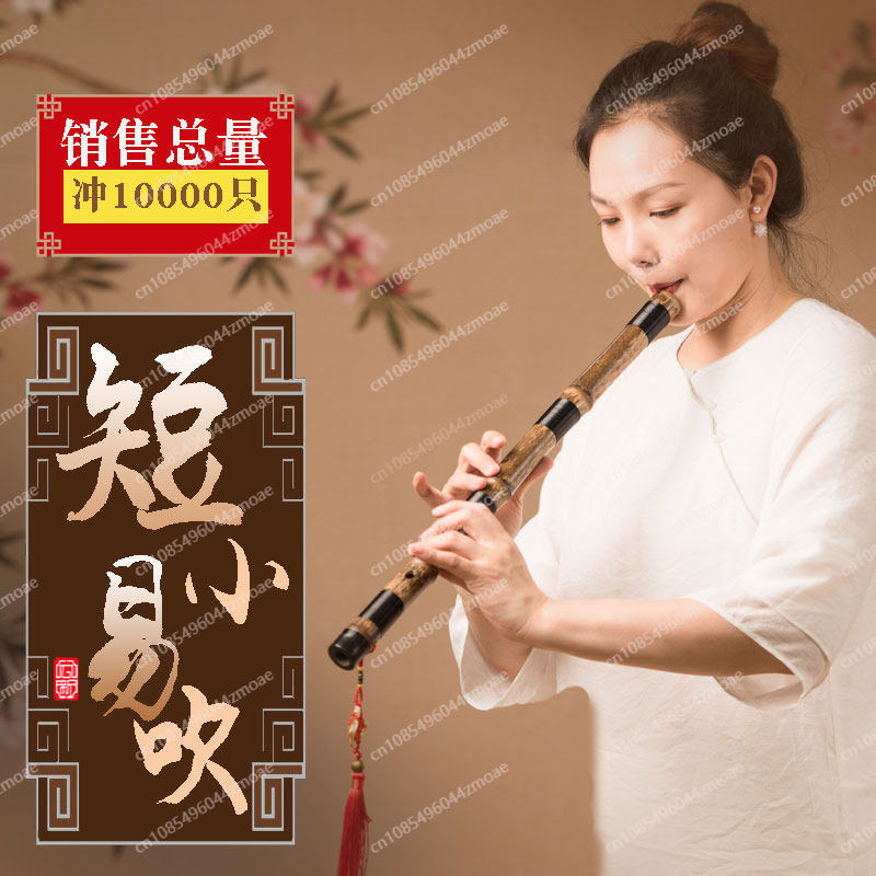 Professional play hole flute o - Musical Instrument You Blow 评论和价格